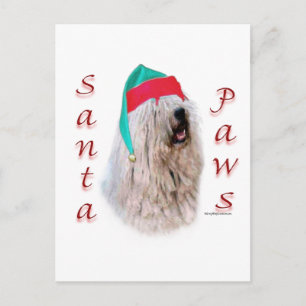 Cartão Postal De Festividades Papai noel Paws Komondor