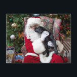 Cartão Postal De Festividades Papai Noel Puppy Black Labrador Natal<br><div class="desc">Envie Cartões de natal com este adorável cartão de Natal do Papai Noel e do Black Labrador. Verso: Feliz Natal ~ Que sua temporada de festas seja cheia de amor, risos e alegria. Feliz Natal e Feliz ano novo. Personalize com seu nome familiar e nomes de familiares. Este cartão de...</div>