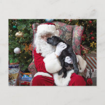 Papai Noel Puppy Black Labrador Natal