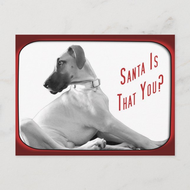 Cartão Postal De Festividades Papai noel que você (Frente)