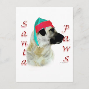 Cartão Postal De Festividades Papais noeis Anatólios Shepherd