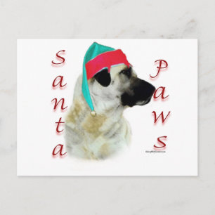 Cartão Postal De Festividades Papais noeis Anatólios Shepherd