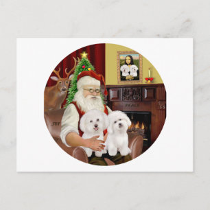 Cartão Postal De Festividades Papais noeis Bichon Frise