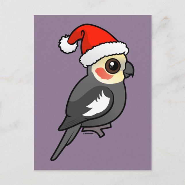 Cartão Postal De Festividades Papais noeis Cockatiel (Frente)