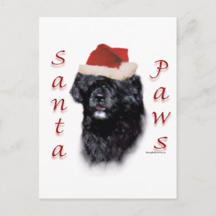 Cartão Postal De Festividades Papais noeis de Cães de Água em Português