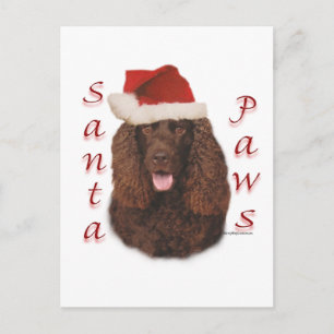 Cartão Postal De Festividades Papais noeis de Espanha de água irlandesa