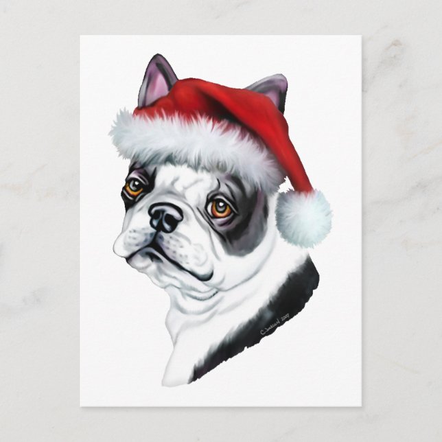 Cartão Postal De Festividades Papais noeis de Natal de Boston Terrier (Frente)