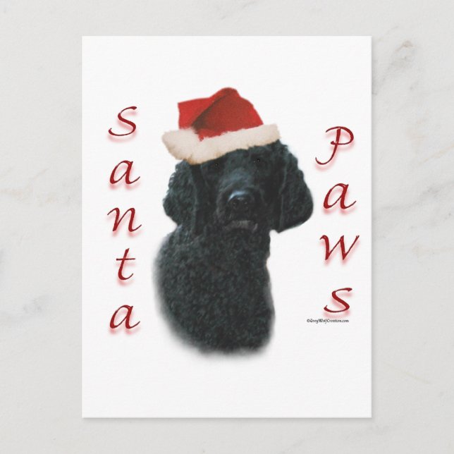 Cartão Postal De Festividades Papais noeis de Poodle (Frente)