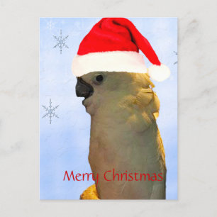Cartão Postal De Festividades Papais noeis de Posicionamento Personalizado Pássa
