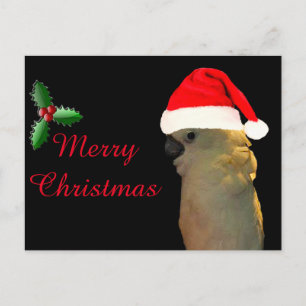 Cartão Postal De Festividades Papais noeis de Posicionamento Personalizado Pássa