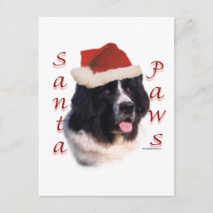 Cartão Postal De Festividades Papais noeis de Terra Nova (Landseer)