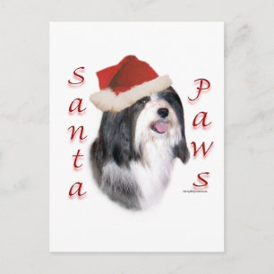 Cartão Postal De Festividades Papais noeis do Havanês