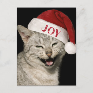 Cartão Postal De Festividades Papais noeis Muito Engraçados Gato Ria Foto Natal