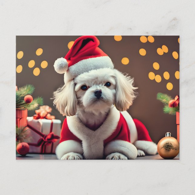 Cartão Postal De Festividades Papais noeis Personalizados Cachorro Maltês Feliz  (Frente)