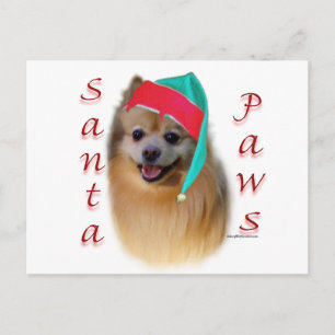 Cartão Postal De Festividades Papais noeis Pomeranianos