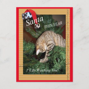 Cartão Postal De Festividades Papais noeis Que O Gato Estará A Ver-Te Postcard