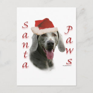 Cartão Postal De Festividades Papais noeis Weimaraner