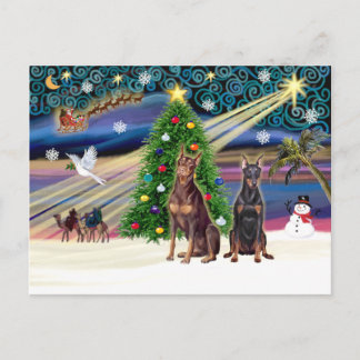 Cartão Postal De Festividades Par Magic-Doberman do Xmas