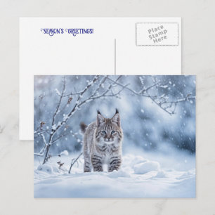 Cartão Postal De Festividades Parabéns de Natal Bobcat Neve