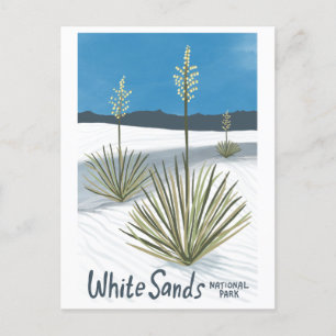 Cartão Postal De Festividades Parque Nacional White Sands Novo México Gypsum Yuc