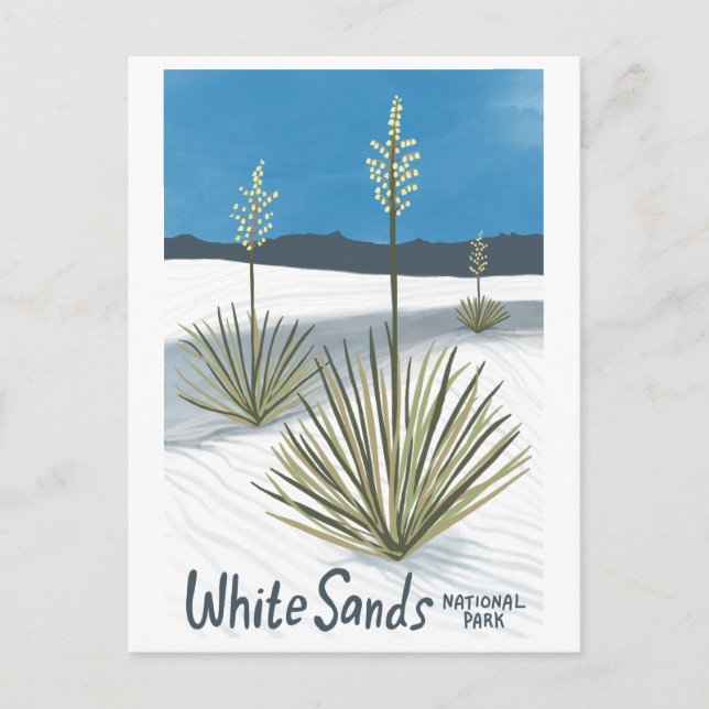 Cartão Postal De Festividades Parque Nacional White Sands Novo México Gypsum Yuc (Frente)