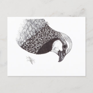 CARTÃO POSTAL DE FESTIVIDADES PARTRIDGE