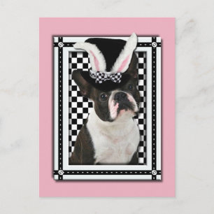 Cartão Postal De Festividades Páscoa - Alguns Coelhinhos Te Ama - Boston Terrier