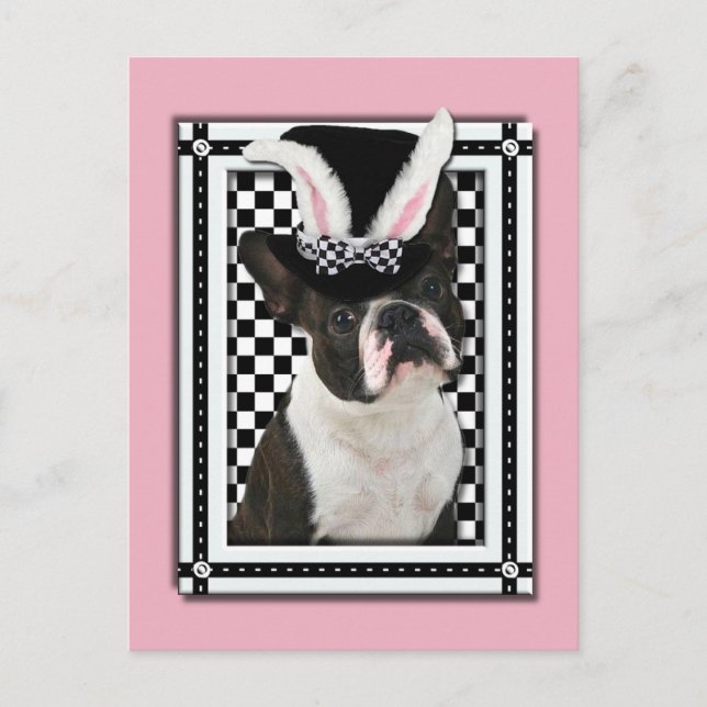 Cartão Postal De Festividades Páscoa - Alguns Coelhinhos Te Ama - Boston Terrier (Frente)