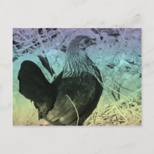 Cartão Postal De Festividades Páscoa Bantam Hen