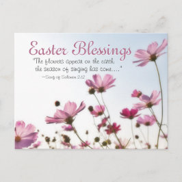 Cartão Postal De Festividades Páscoa Bênçãos Bíblia Verso "As flores aparecem"