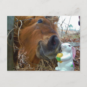 Cartão Postal De Festividades Páscoa Bunny e Cavalo Marrom