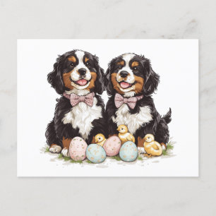Cartão Postal De Festividades Páscoa Cães de Montanha Bernese Ovos de Páscoa