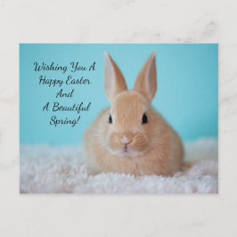 Cartão Postal De Festividades Páscoa de coelhinho bonito