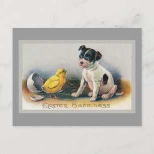 Cartão Postal De Festividades Páscoa de colheita e Pintinho