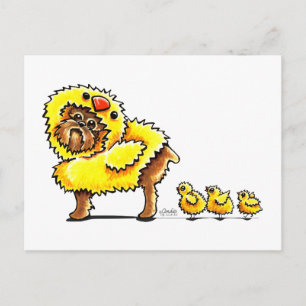 Cartão Postal De Festividades Páscoa de Pintinho de Bruxelas Griffon