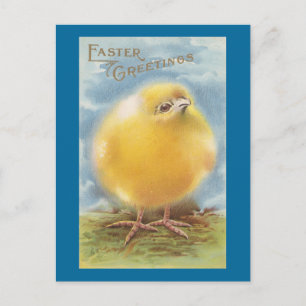 Cartão Postal De Festividades Páscoa de Vintagem do Pintinho Puffball