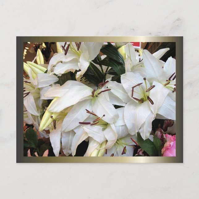 Cartão Postal De Festividades Páscoa e Palm domingos cruzamentos e cenas (Frente)