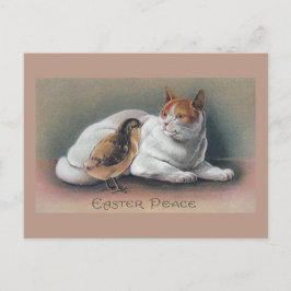 Cartão Postal De Festividades Páscoa Gato e Pintinho