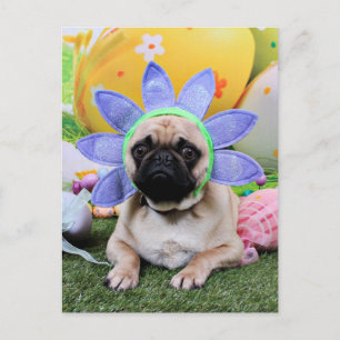 Cartão Postal De Festividades Páscoa - Pug - Louie