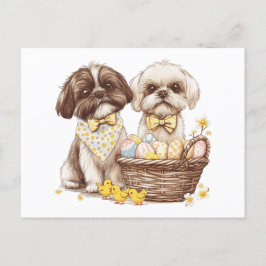 Cartão Postal De Festividades Páscoa Shih Tzu Dogs