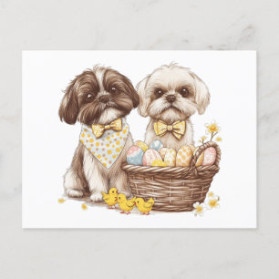 Cartão Postal De Festividades Páscoa Shih Tzu Dogs