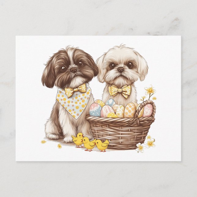Cartão Postal De Festividades Páscoa Shih Tzu Dogs (Frente)