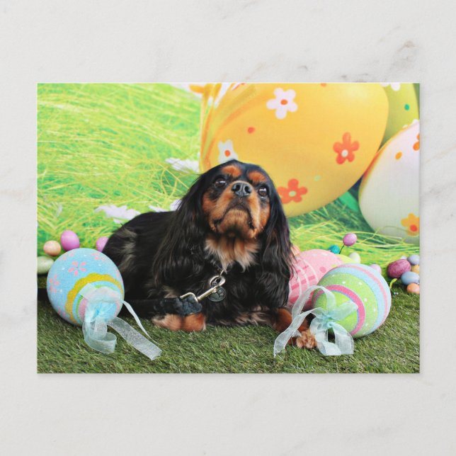 Cartão Postal De Festividades Páscoa - Spaniel de rei Charles descuidado - (Frente)