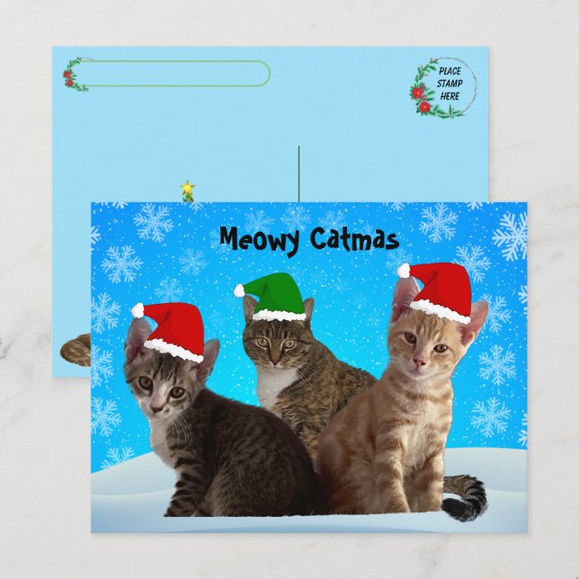 Cartão Postal De Festividades Passagem - Annie, Taz e Tito - Natal Gato (Frente/Verso)