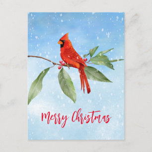 Cartão Postal De Festividades Pássaro Vermelho Verde Azul Cor d'água do Natal
