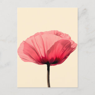 Cartão Postal De Festividades Pastel Poppy Bloom Minimalismo