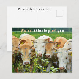 Cartão Postal De Festividades Pasture Cows Thinking of You Rustic Farm Greetings