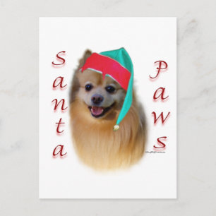 Cartão Postal De Festividades Patas do papai noel de Pomeranian