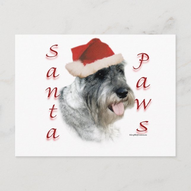 Cartão Postal De Festividades Patas do papai noel do Schnauzer padrão (Frente)