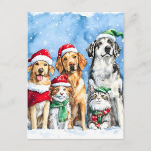 Cartão Postal De Festividades Patas Nevadas Festivo Fofo Animais de Estimação Na